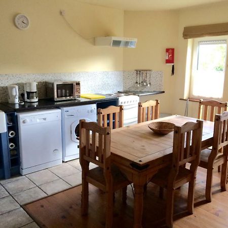Dingle Centre Townhouse An Capall Dubh 딩글 외부 사진