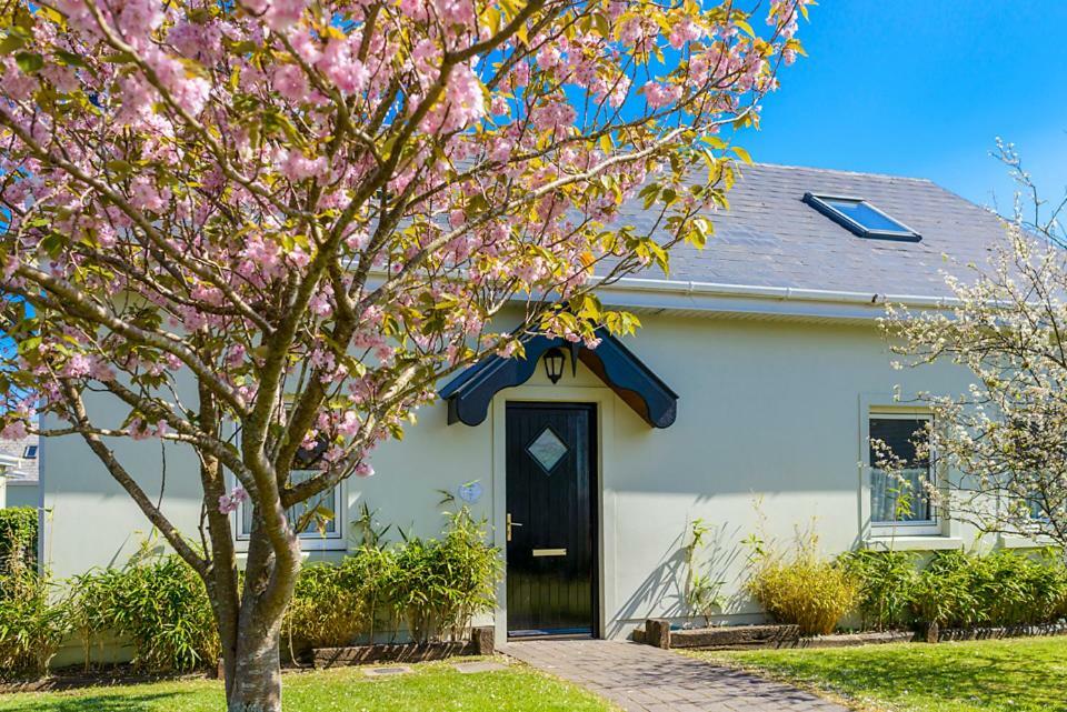 Dingle Centre Townhouse An Capall Dubh 딩글 외부 사진
