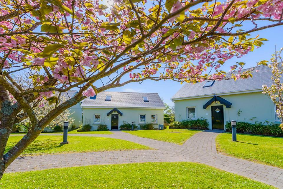 Dingle Centre Townhouse An Capall Dubh 딩글 외부 사진
