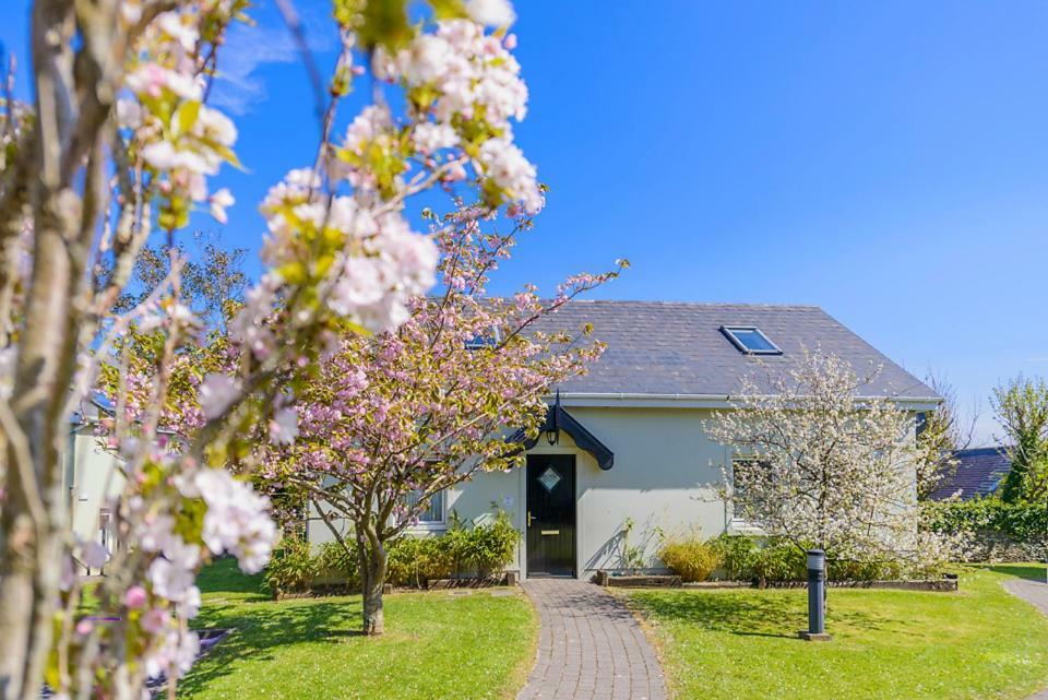 Dingle Centre Townhouse An Capall Dubh 딩글 외부 사진