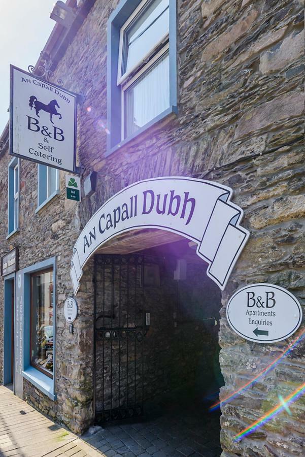 Dingle Centre Townhouse An Capall Dubh 딩글 외부 사진